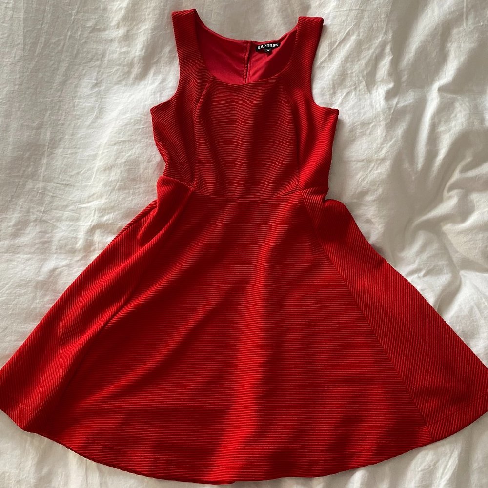 Express Red Classic Dress